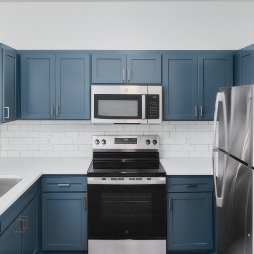 Newly renovated homes with blue cabinets and stainless steel appliances